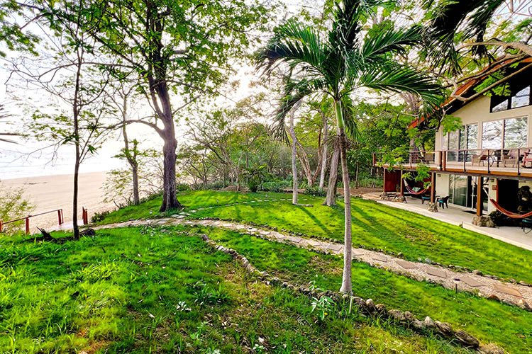 Terrace View
